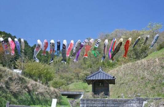 備中松山城下の鯉のぼり　岡山の風景
