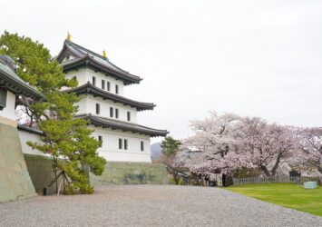 松前城と桜　北海道の春の風景