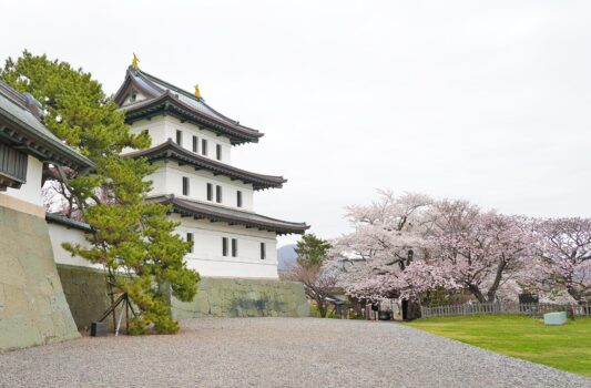 松前城と桜　北海道の春の風景