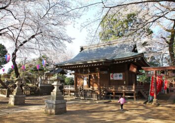 桜と敷島神社　春の埼玉の風景