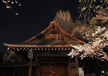 春の夜の靖国神社・能楽堂　東京の春の風景