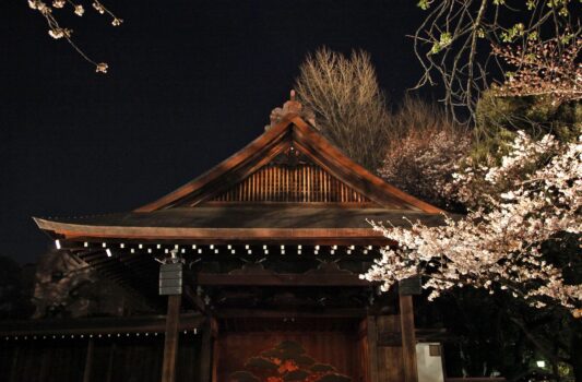 春の夜の靖国神社・能楽堂　東京の春の風景