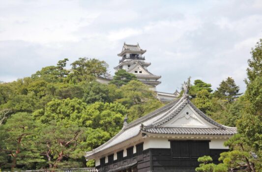 高知城　高知の風景