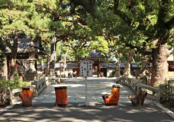 夏の住吉大社　大阪の夏の風景　大阪の神社