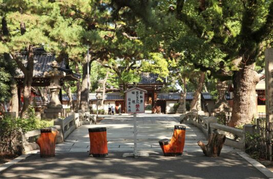 夏の住吉大社　大阪の夏の風景　大阪の神社