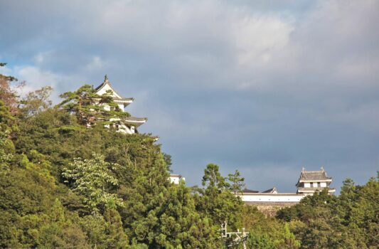 夕暮れの郡上八幡城　岐阜の風景