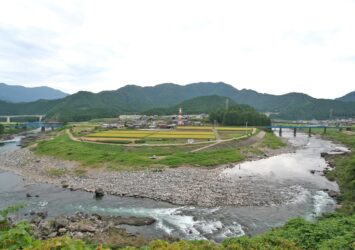 夏の長良川の風景　岐阜の風景