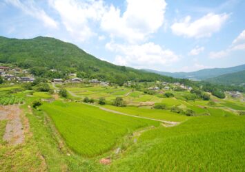 夏の坂折棚田　夏の岐阜の風景