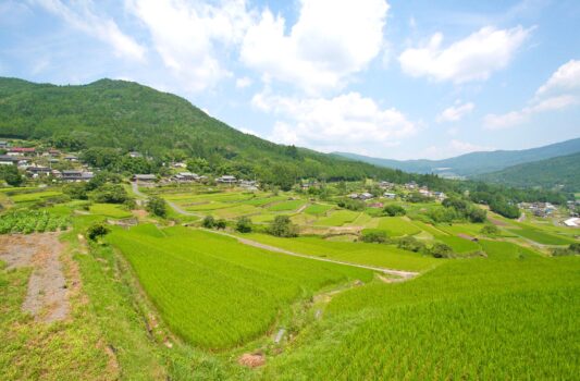 夏の坂折棚田　夏の岐阜の風景