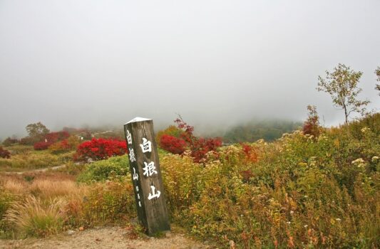 秋の草津白根山　群馬の秋の風景