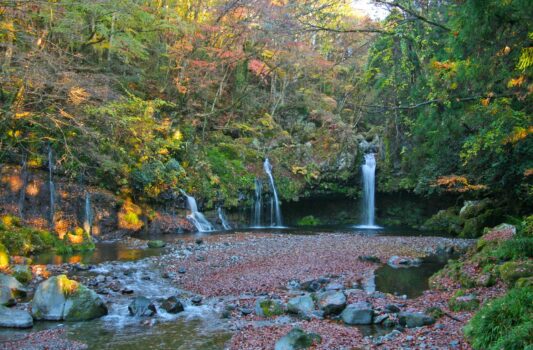 秋の朝の陣馬の滝　秋の静岡の風景