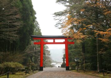 晩秋の霧島神宮　参道の紅葉　鹿児島の風景