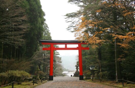 晩秋の霧島神宮　参道の紅葉　鹿児島の風景