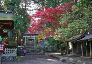 秋の北口本宮冨士浅間神社　山梨の風景