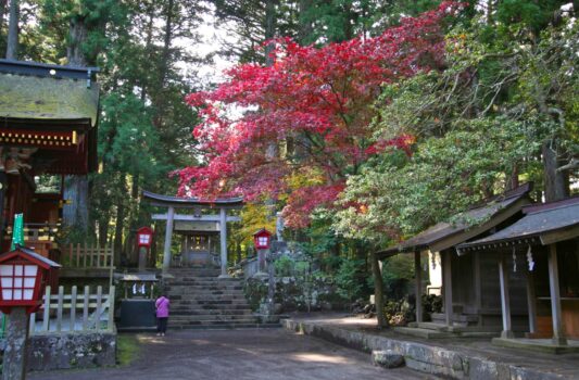 秋の北口本宮冨士浅間神社　秋の山梨の風景