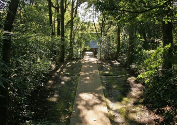 武蔵国分寺 薬師堂　東京の風景