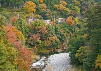 秋の奥多摩の風景　秋の東京の風景