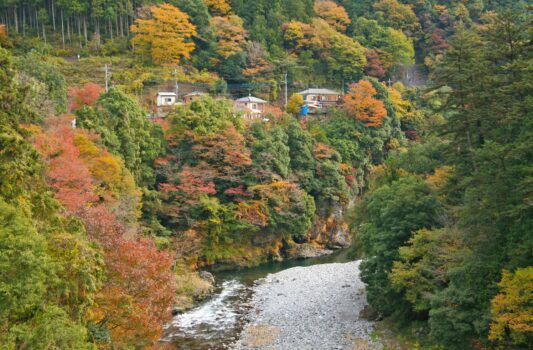 秋の奥多摩の風景　秋の東京の風景