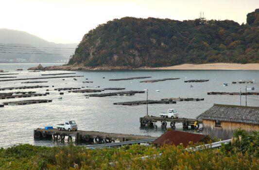 朝の敦賀半島の風景　福井の風景　福井県敦賀市