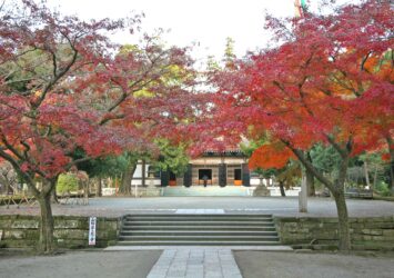 円覚寺　晩秋の鎌倉の風景　神奈川の風景