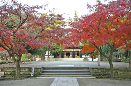 円覚寺　秋の鎌倉の風景　神奈川の風景