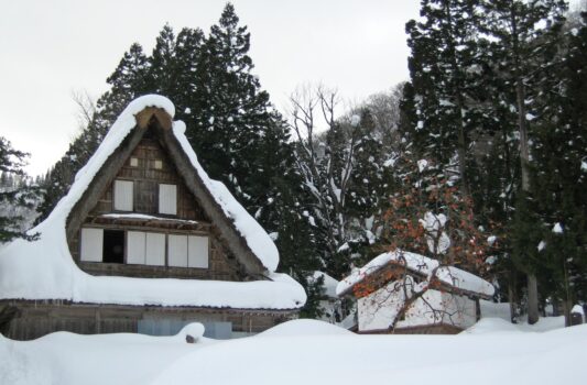 冬の五箇山　雪の中の合掌造りの家　富山の風景