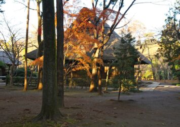 秋の平林寺　紅葉風景　秋の埼玉の風景