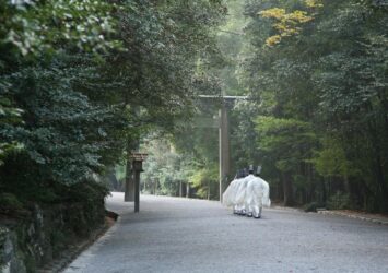 早朝の伊勢神宮　参道の風景　三重の風景