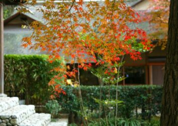 明月院の紅葉風景　秋の鎌倉の風景　神奈川の風景　