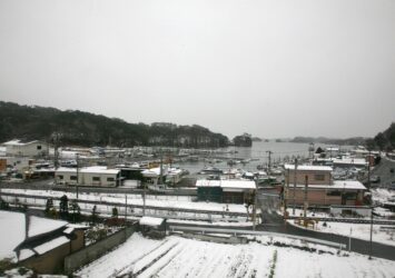 雪の松島の風景　冬の宮城の風景