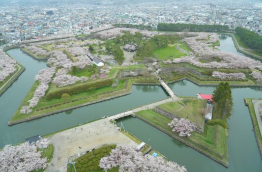 五稜郭タワーから眺める春の五稜郭　桜の咲く風景　春の函館　春の北海道の風景