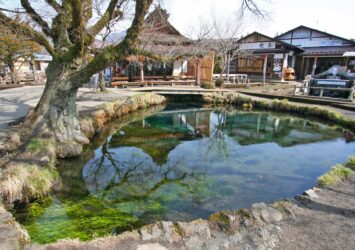 忍野八海「湧池」　山梨の風景