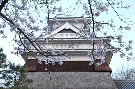 桜と上山城　春の山形の風景