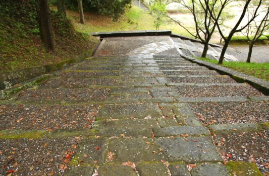 春の雨上がりの飫肥城跡　春の宮崎の風景