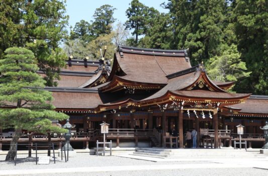 春の多賀大社　滋賀の神社　滋賀の風景