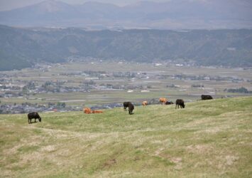 草千里の風景　阿蘇の風景　熊本の風景