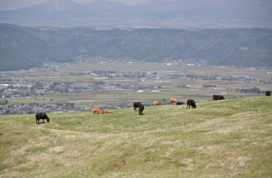 草千里の風景　阿蘇の風景　熊本の風景