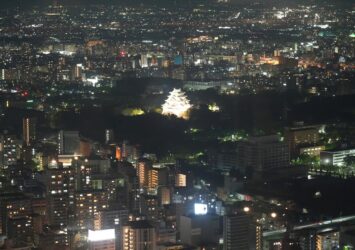 夜の名古屋城と名古屋の夜景　愛知の風景