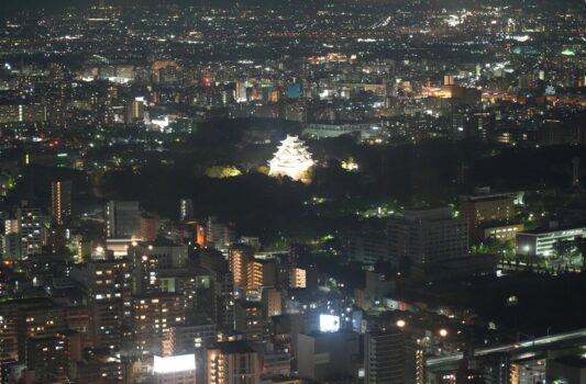 夜の名古屋城と名古屋の夜景　愛知の風景