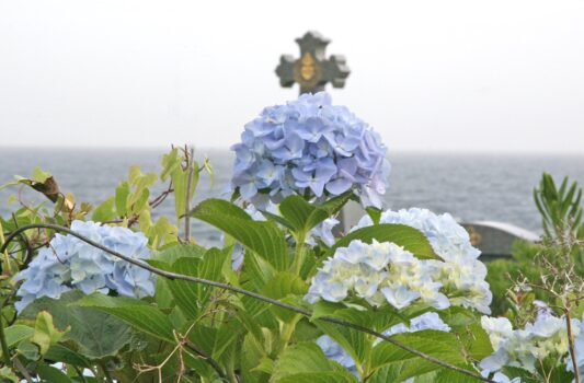 6月の福江島　十字架と紫陽花のある風景　福江島　長崎の風景