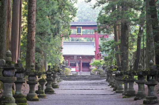 夏の北口本宮冨士浅間神社参道と鳥居　山梨の夏の風景