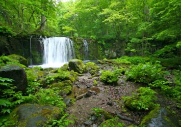 夏の奥入瀬渓流　夏の青森の風景