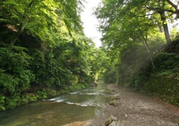 大丹波川の夏の風景　夏の奥多摩　東京の夏の風景