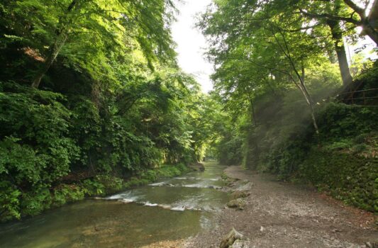 大丹波川の夏の風景　夏の奥多摩　東京の夏の風景