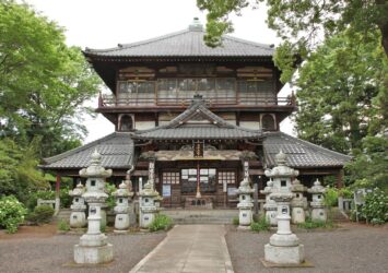 曹源寺・さざえ堂と紫陽花　群馬の寺院　群馬の風景