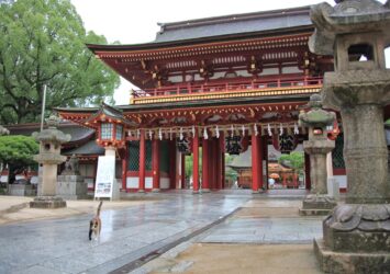 夏の朝の福岡　太宰府天満宮　夏の福岡の風景