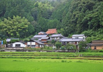 雨上がりの里山の風景　夏の愛媛の風景