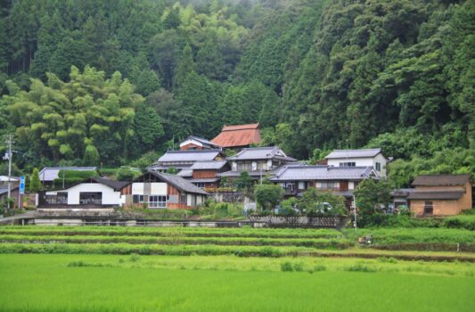 雨上がりの里山の風景 夏の愛媛の風景