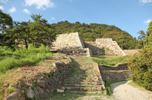真夏の鳥取城　鳥取の城　夏の鳥取の風景