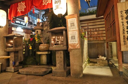 夜の法善寺横丁とネコ　大阪の風景